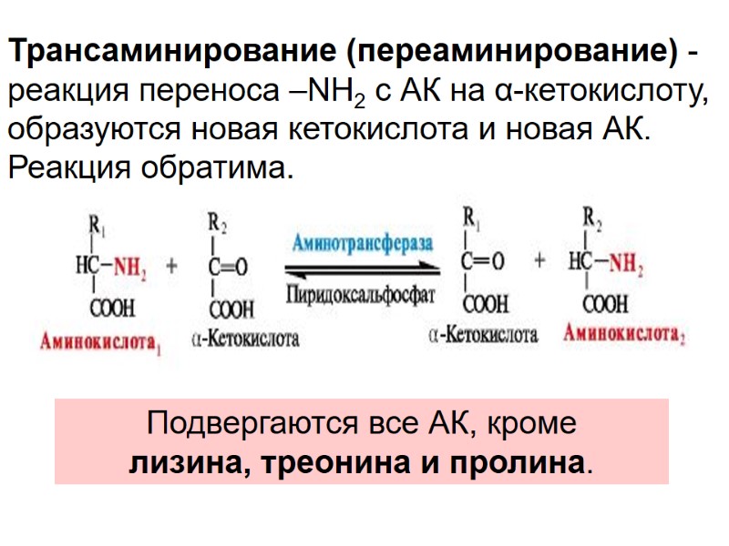 Трансаминирование (переаминирование) - реакция переноса –NH2 с АК на α-кетокислоту, образуются новая кетокислота и